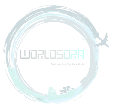 worldsora logo